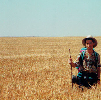1993 camisantiago 2350