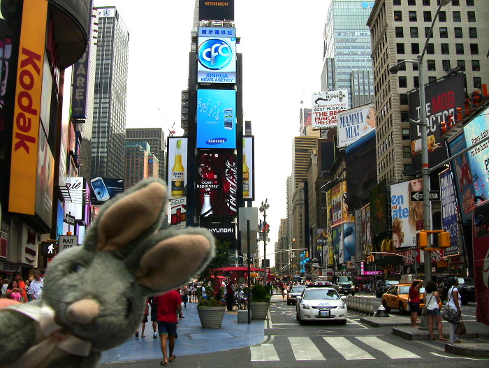 bilby nys